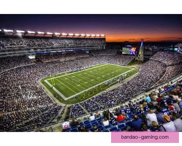 美加墨世界杯买球攻略与投注技巧全面解析助你健参与赛事预测指南